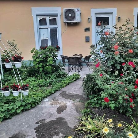 Apartment Milijana Subotica Bagian luar foto