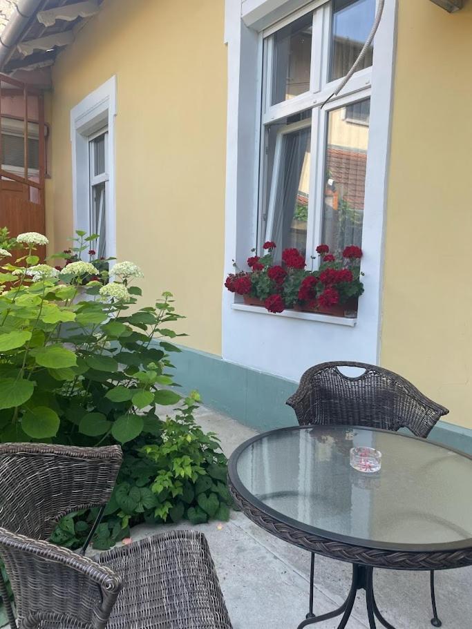 Apartment Milijana Subotica Bagian luar foto