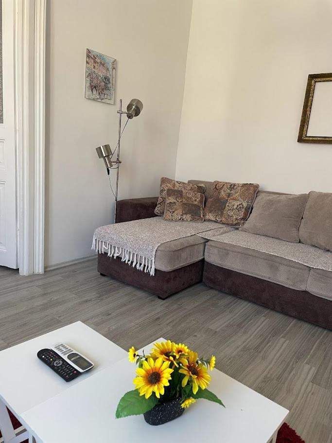 Apartment Milijana Subotica Bagian luar foto