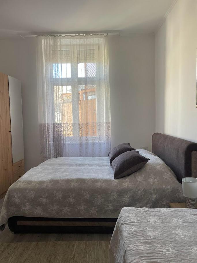 Apartment Milijana Subotica Bagian luar foto