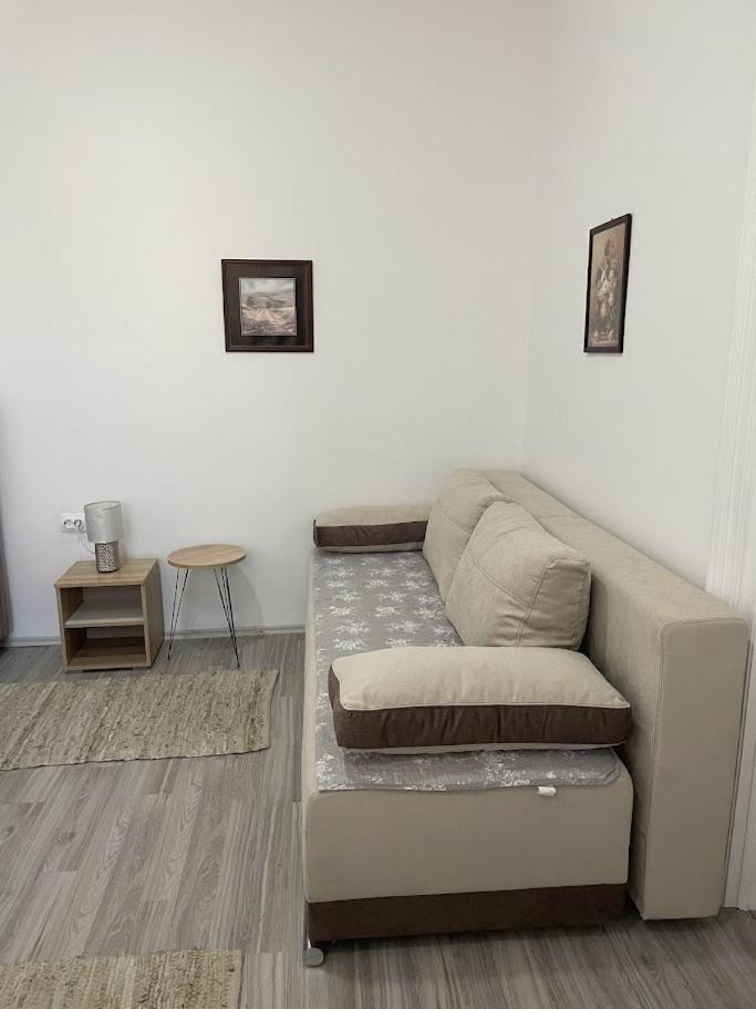 Apartment Milijana Subotica Bagian luar foto