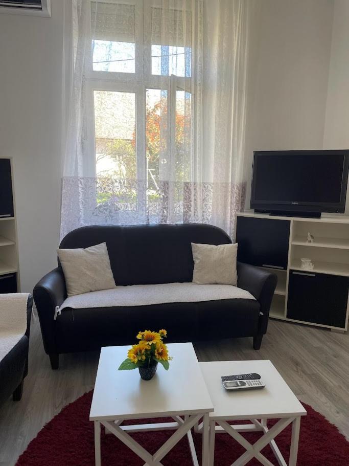 Apartment Milijana Subotica Bagian luar foto