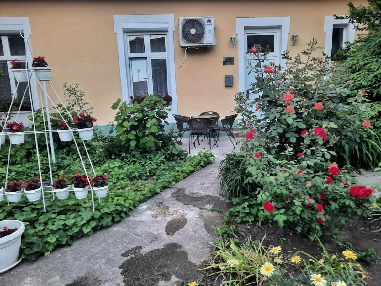 Apartment Milijana Subotica Bagian luar foto